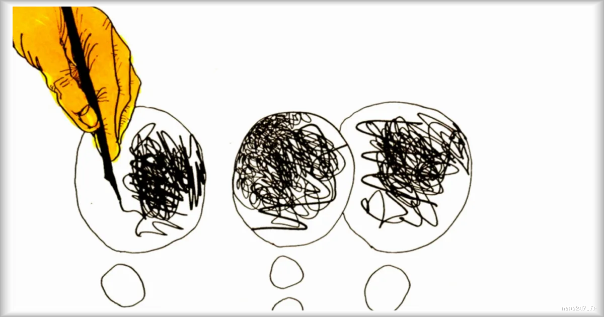 Les probabilités : comprendre les nuances entre le probable, le possible et le certain