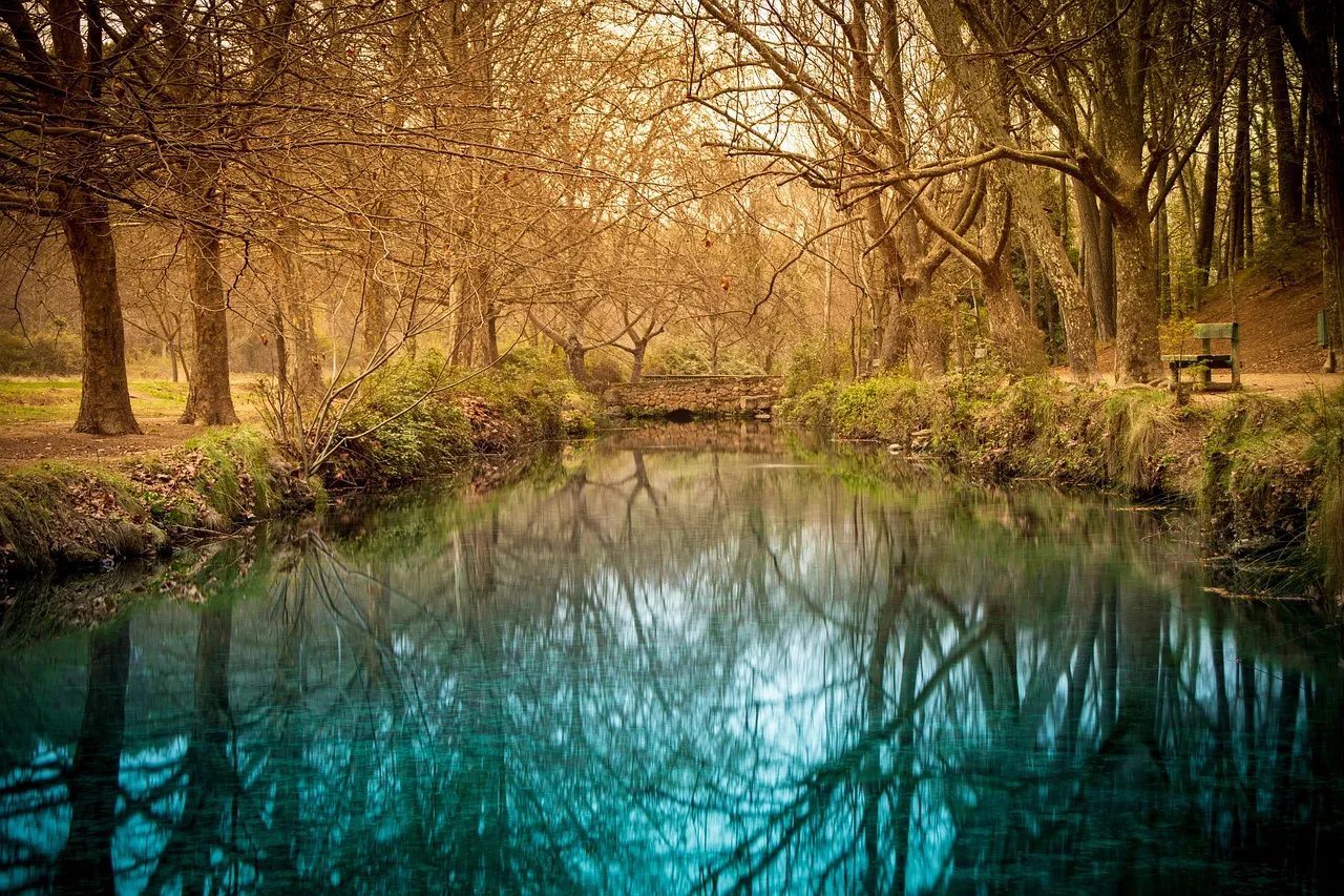 Les savants, ces génies qui ont marqué l'histoire : une évolution passionnante