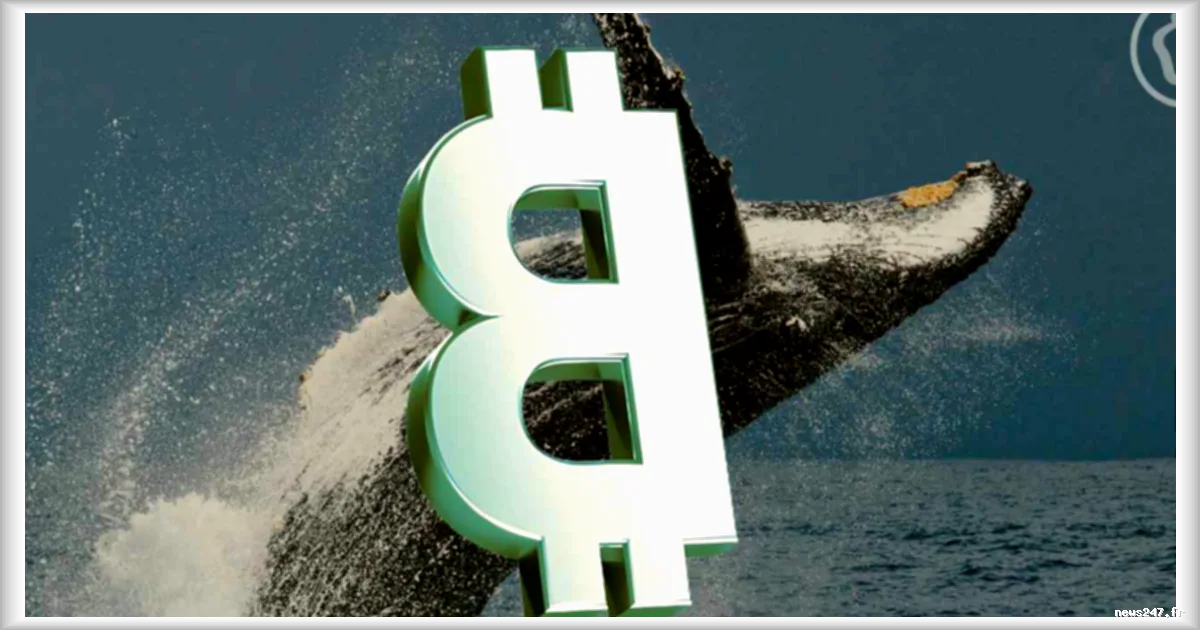 Les whales Bitcoin vendent leurs BTC, mais les institutions rachètent immédiatement