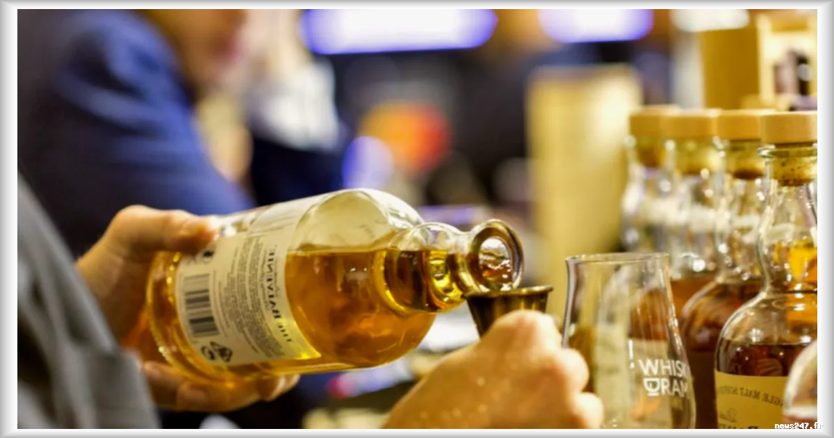 Les whiskys écossais les mieux notés entre 23 et 50 euros selon Le Figaro