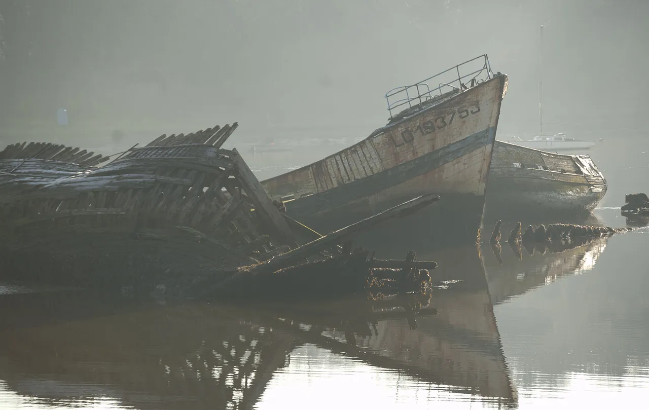 L'Etat a dilapidé 284 millions d'euros dans la filière de farine d'insectes en faillite