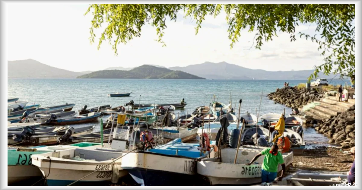 Leurs bateaux ne sont pas conformes aux normes européennes : à Mayotte, les pêcheurs bloqués à quai depuis novembre