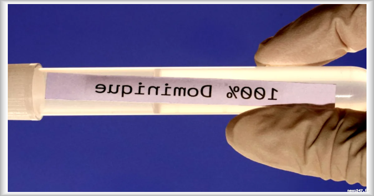 L'histoire de Dominique, née sous X à Auxerre en 1972