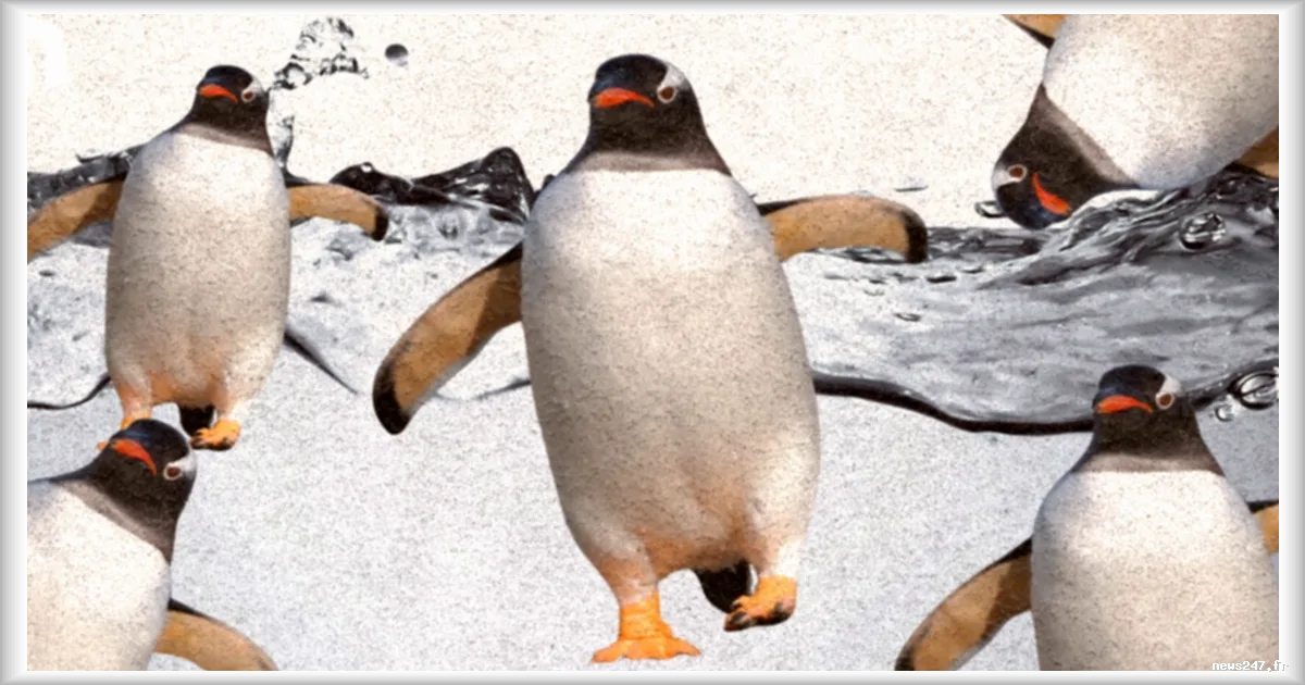 L’IA submerge les développeurs Linux sous une avalanche de faux bugs : Linus Torvalds sonne l’alerte