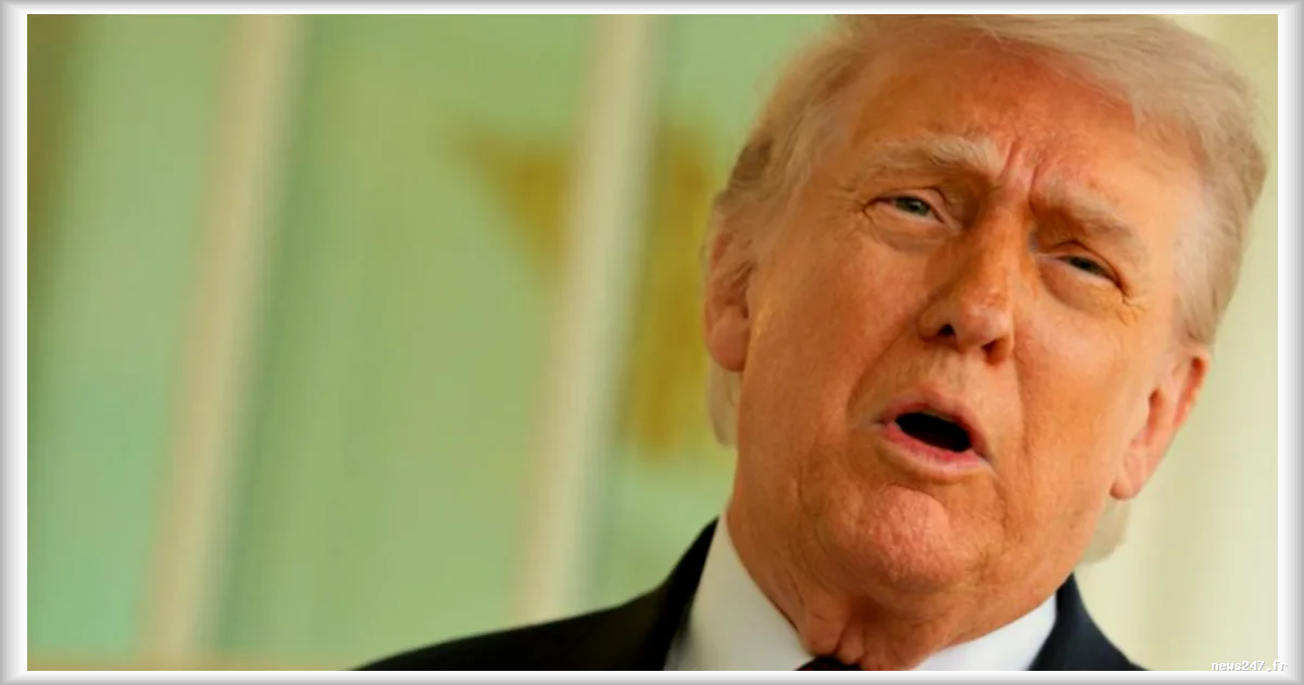 L'impact de Donald Trump sur la Bourse : un phénomène sans précédent