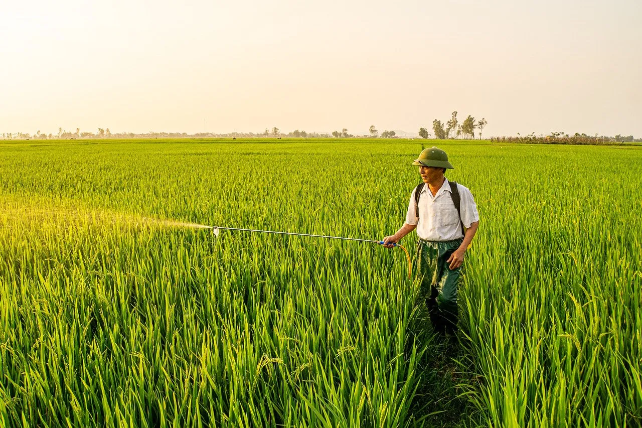 Loi Duplomb : quand les pesticides interdits divisent, un rapport controversé secoue l'Inrae