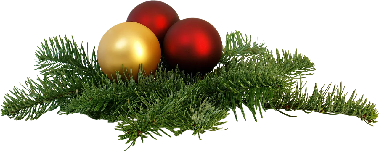 L’Oréal enregistre une croissance de 6 % en fin d’année, portée par l’innovation et les marchés américain et chinois