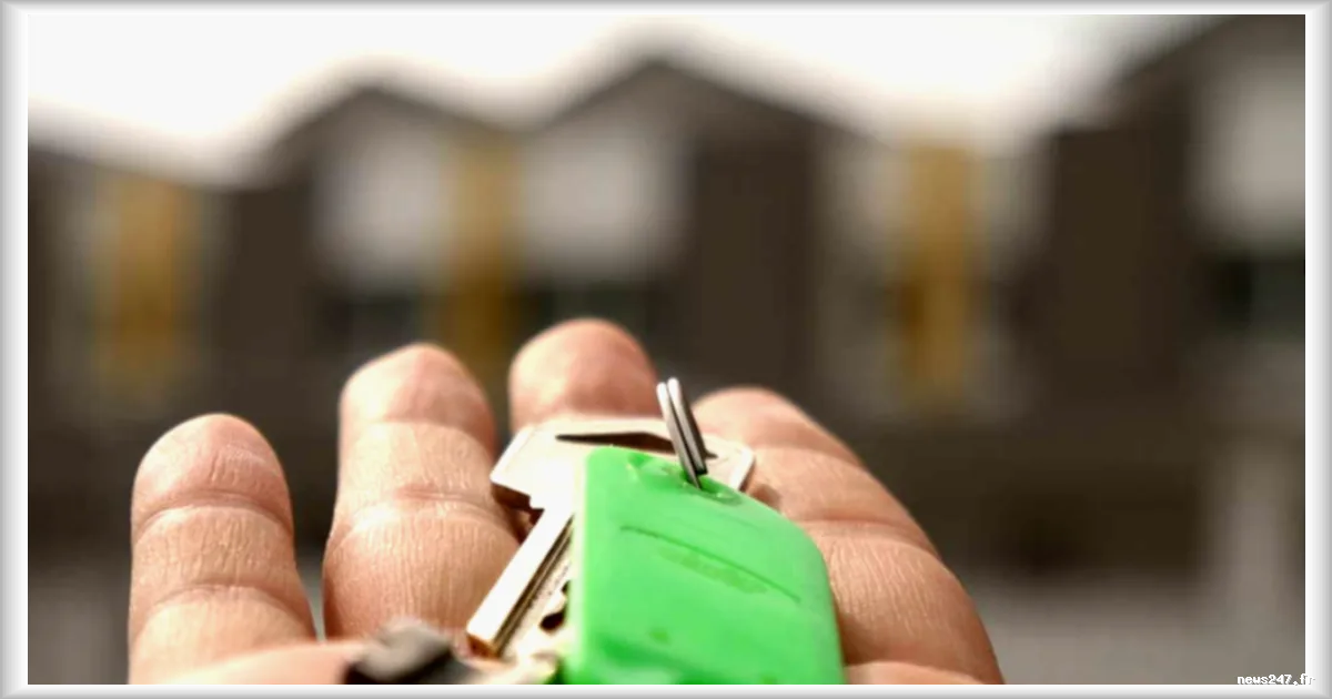 Loyers impayés : trois solutions pour sécuriser les bailleurs face aux risques financiers