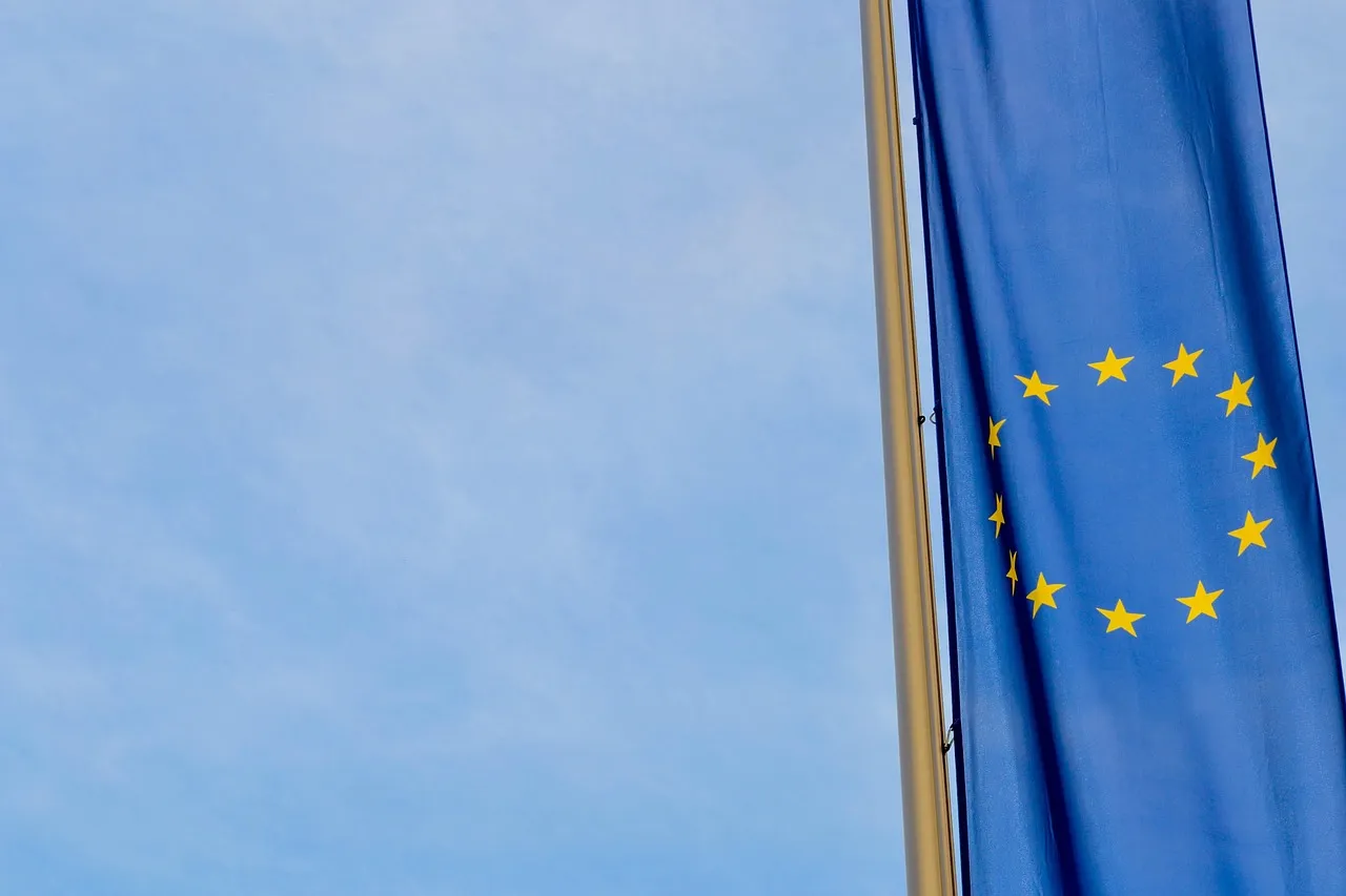 L'UE mobilise ses moyens aériens et terrestres face aux gigantesques incendies en France et en Espagne