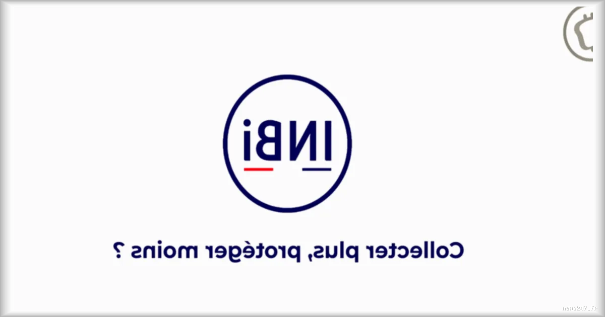 Lutte contre le blanchiment en Europe : l’INBI alerte sur les effets contre-productifs des collectes massives de données