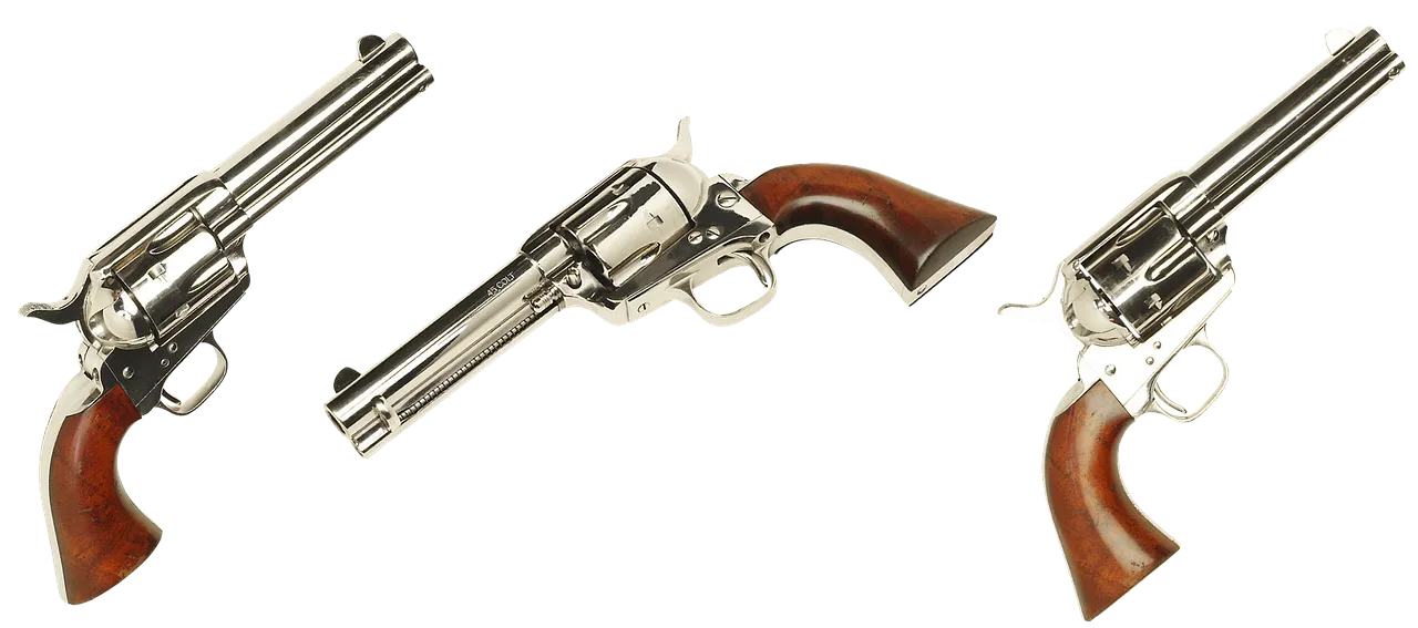 Lyon : un militant nationaliste de 23 ans en état de mort cérébrale, une enquête ouverte