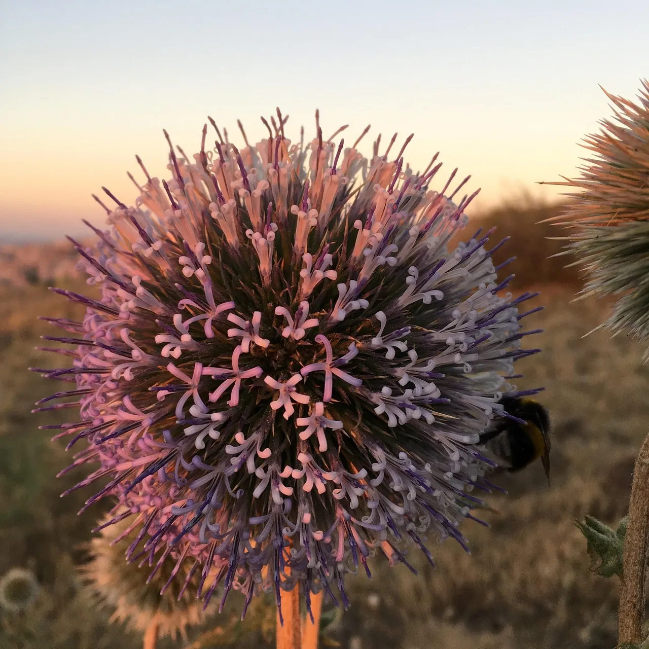Lyon : un septuagénaire en garde à vue après une confrontation mortelle avec un cambrioleur