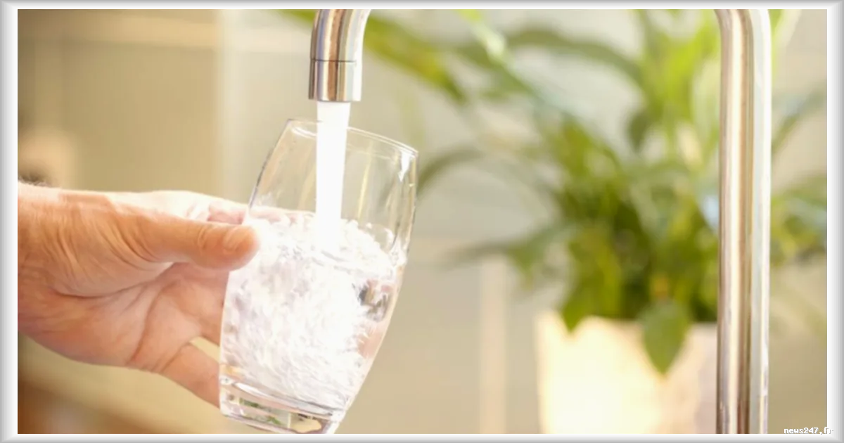 Macédoine du Nord : 1500 habitants soignés après une intoxication massive probablement causée par l'eau