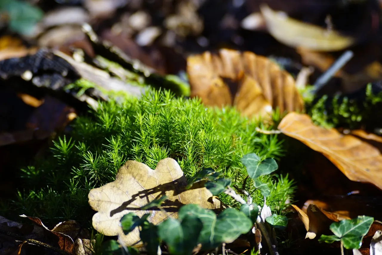 Macron mise sur l'avenir : une dette commune pour booster l'IA et l'écologie