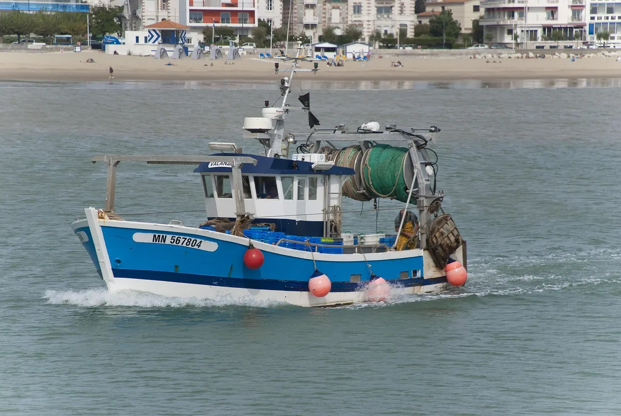 Mal de mer en mer Manche : le récit d’une traversée scolaire mouvementée