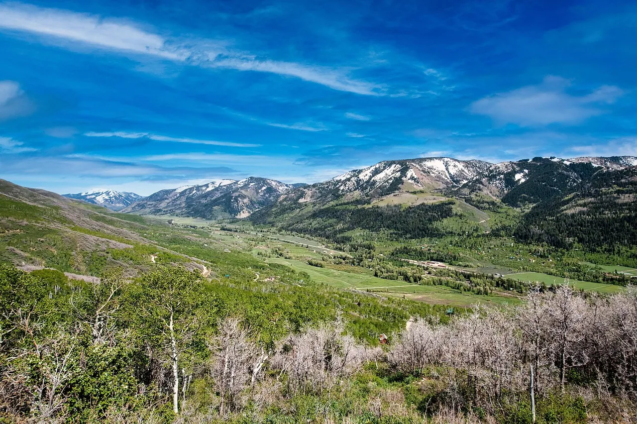 Manfred Weber critique la position d'Emmanuel Macron sur le Mercosur devant le Parlement européen