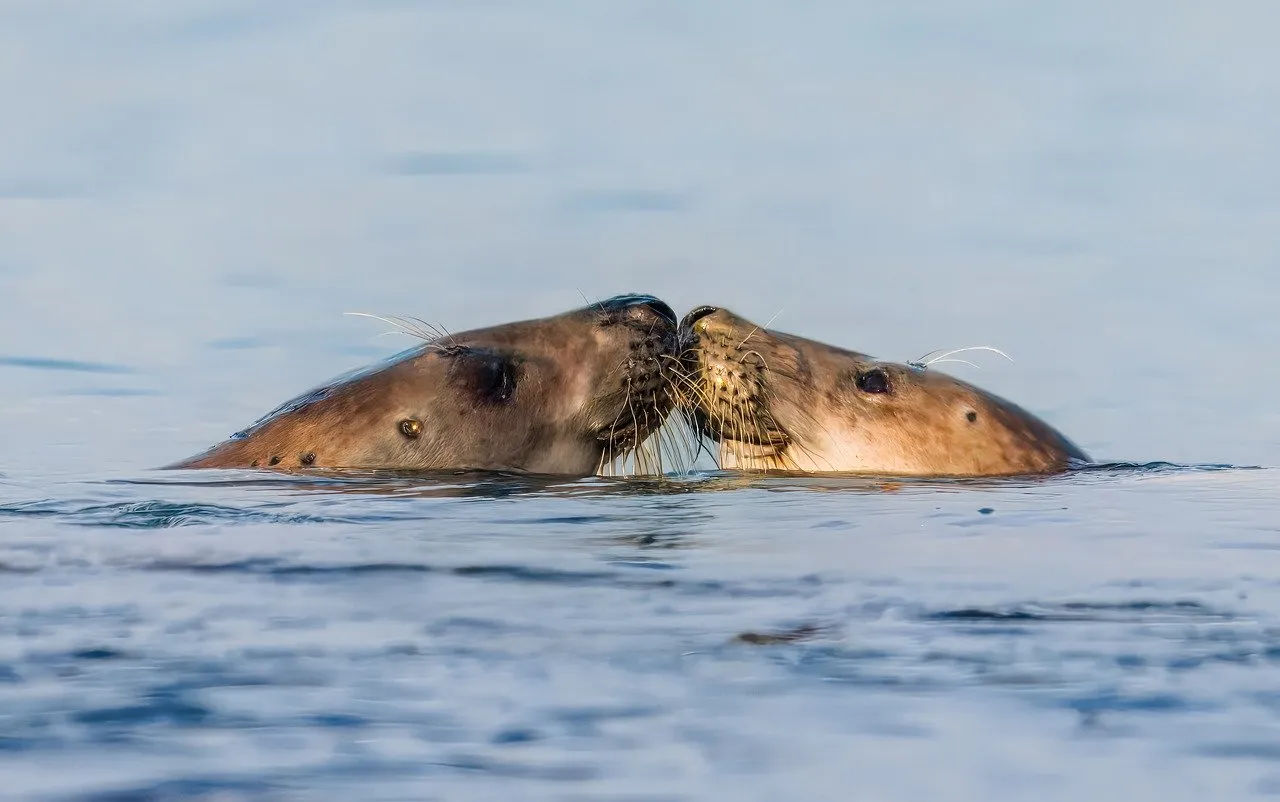 Marine Le Pen et le RN fixés sur leur sort le 7 juillet : ce qu'il faut retenir du procès en appel