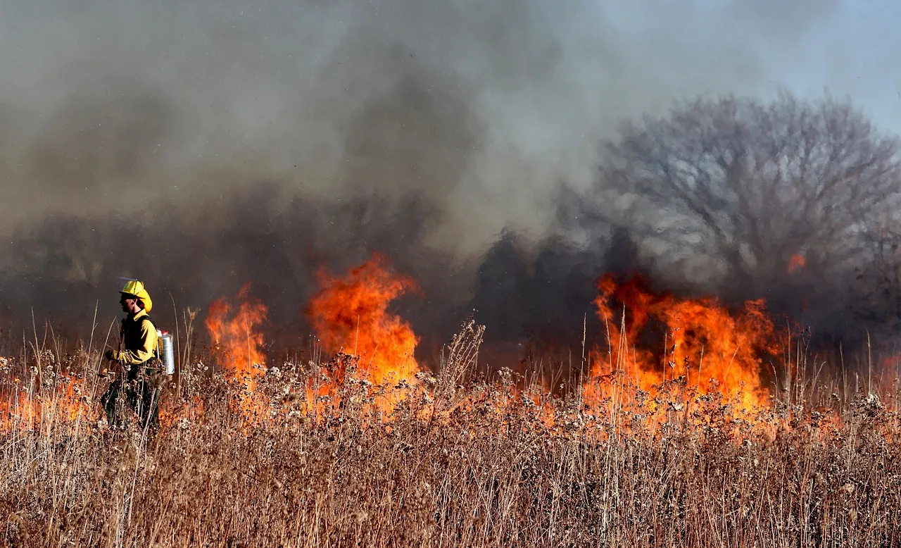 Mégas incendies dans le Sud-Ouest : sept communes évacuées près de Bordeaux, l'Espagne en état d'urgence