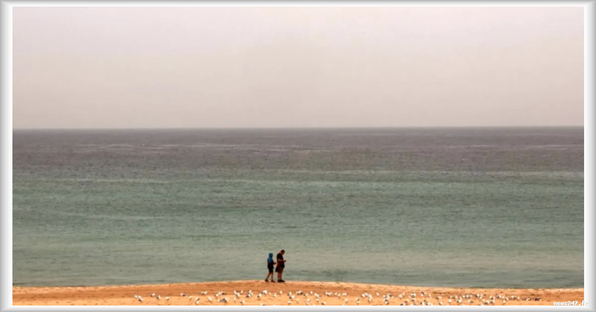 Menaces de mort contre la mère de l'assaillant après l'attentat antisémite en Australie