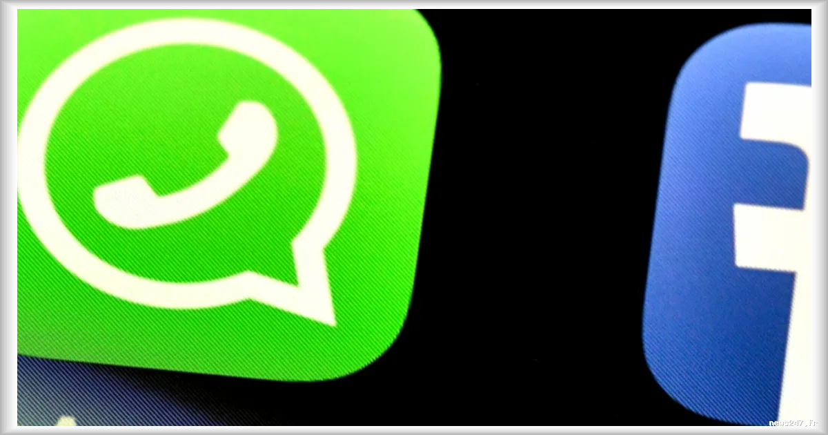 Meta neutralise une fausse application WhatsApp créée en Italie : une tentative de vol de données déjouée