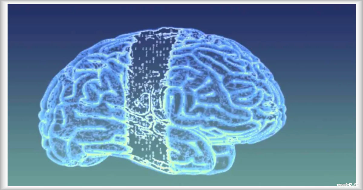 Meta présente Brain2Qwerty v2 : une IA capable de décoder des phrases depuis les signaux cérébraux sans implant