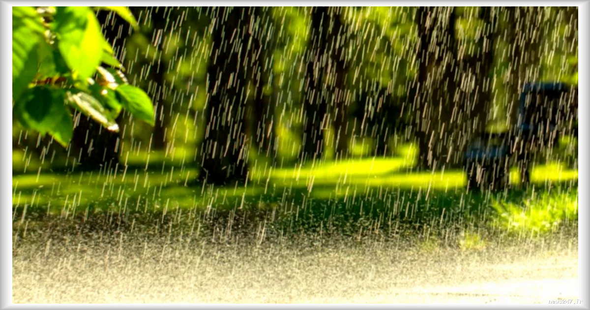 Météo du jeudi 26 mars : Contrastes entre pluie à l’est et éclaircies à l’ouest