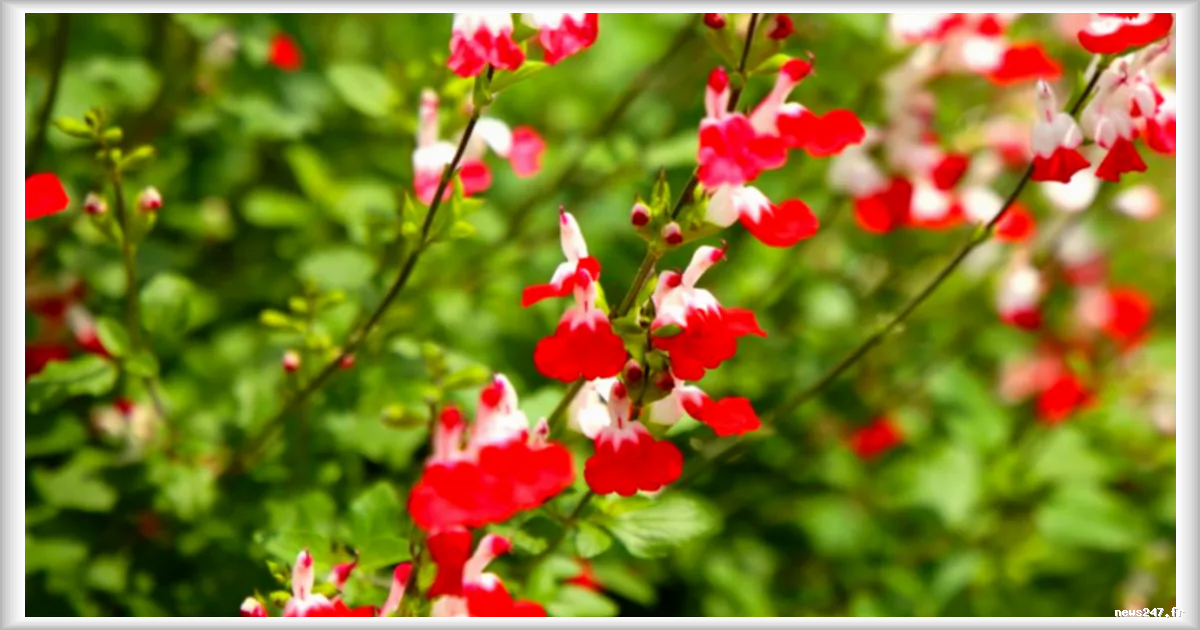 Météo du week-end : Temps printanier et calme sur la France