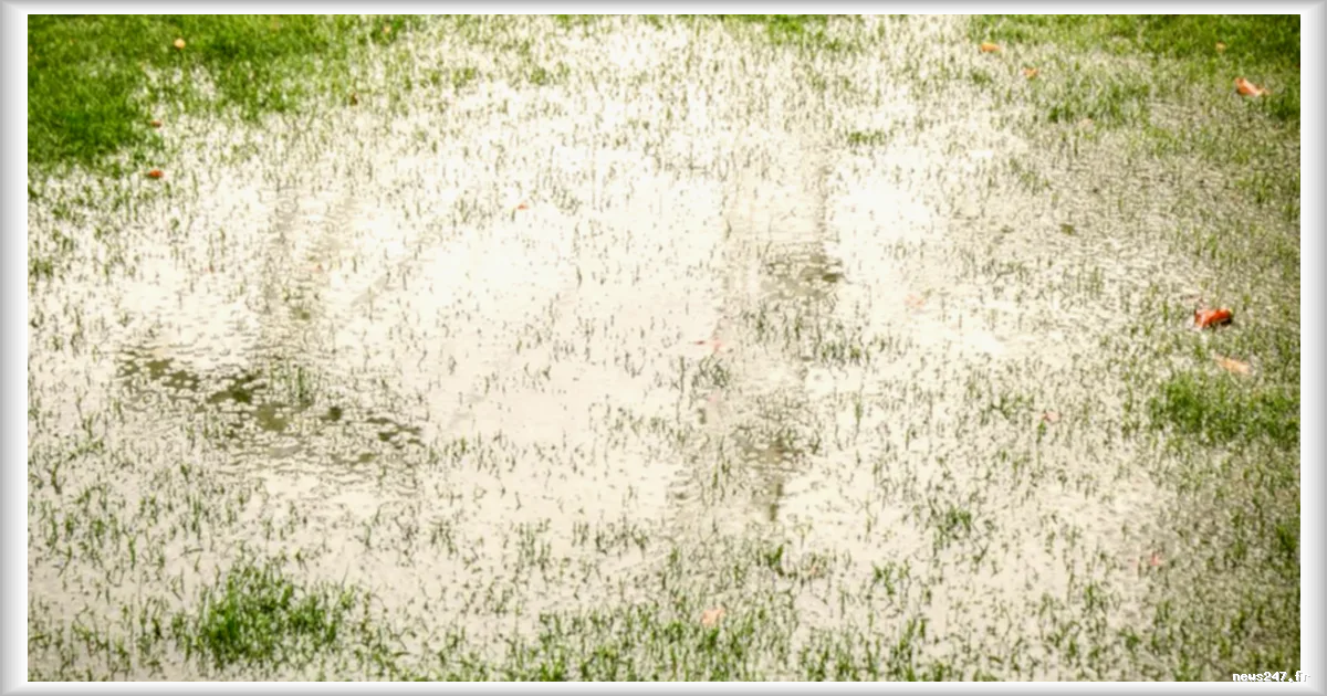 Météo mardi 19 mai : pluies et vent dominent le nord de la France, le sud profite du soleil