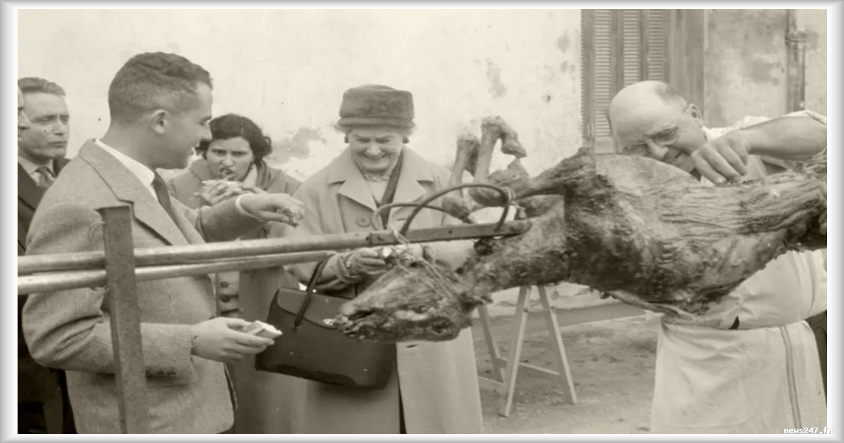 Michèle Audin explore les traces de ses ancêtres colons dans « Berbessa »