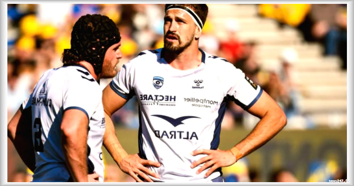 Montpellier affirme sa position de dauphin du Stade Toulousain en Top 14