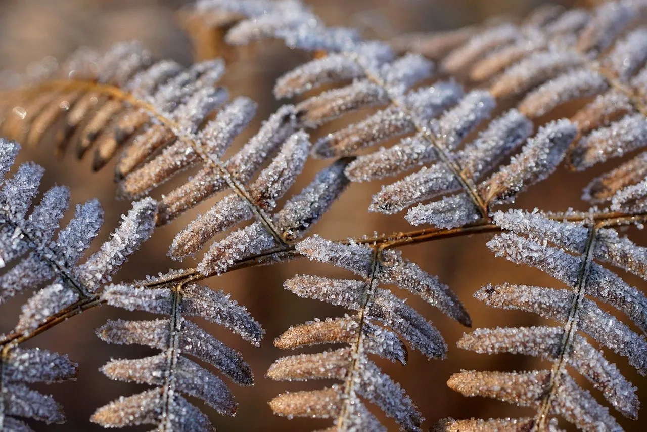 Morning Briefing : Dette, émission délicate pour les États-Unis - 19/02