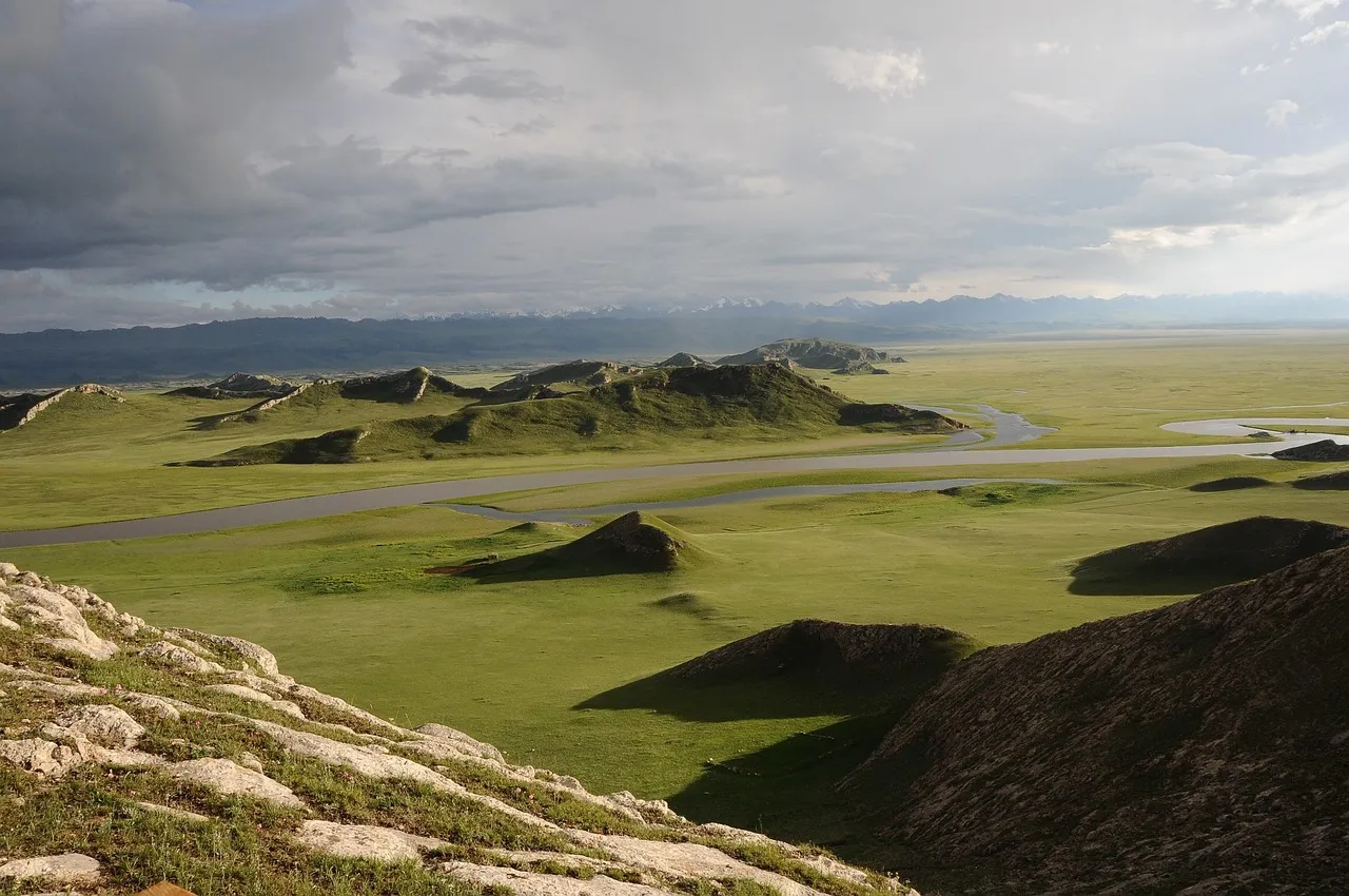 Mort de Leïla Shahid : hommage à la voix de la Palestine en France