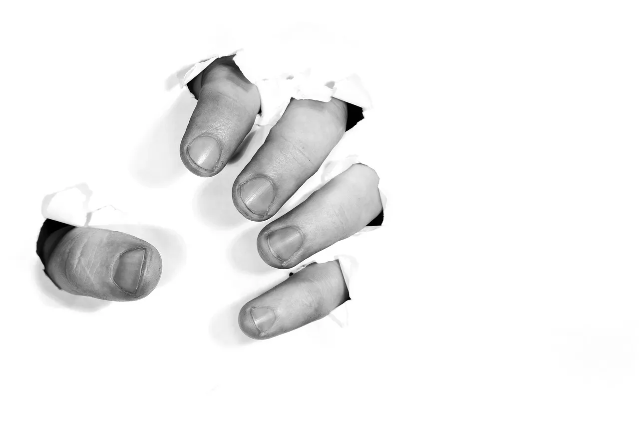 Mort de Quentin Deranque : appel à l'exclusion de Raphaël Arnault du groupe LFI