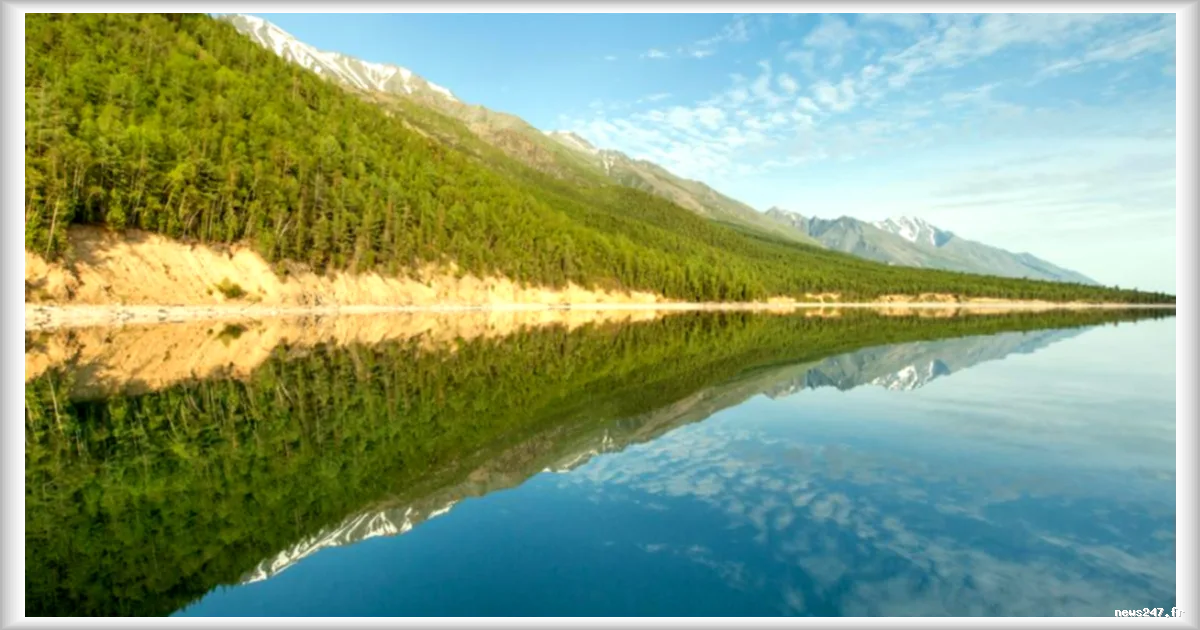 Moscou approuve la coupe de 4 000 hectares de forêt autour du lac Baïkal en Sibérie