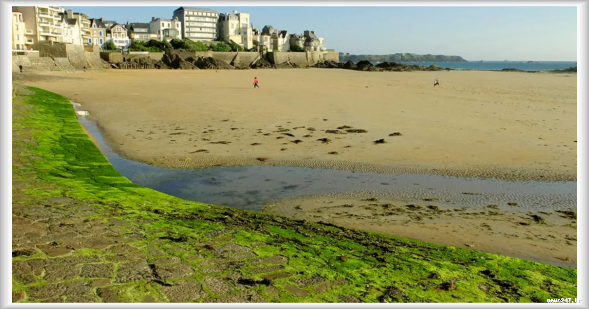 Municipales 2026 : à Dinard, le défi de la qualité des eaux de baignade