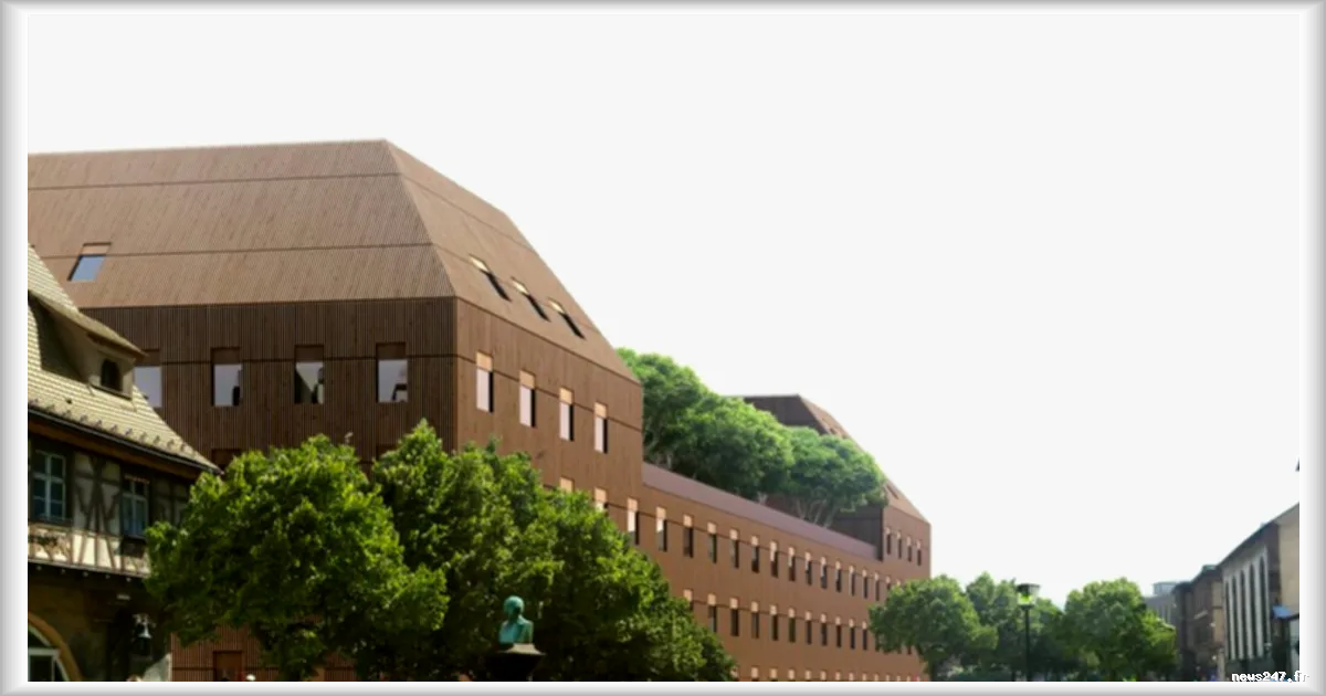 Municipales à Strasbourg : la candidate RN Virginie Joron renonce à un débat après un blocage étudiant