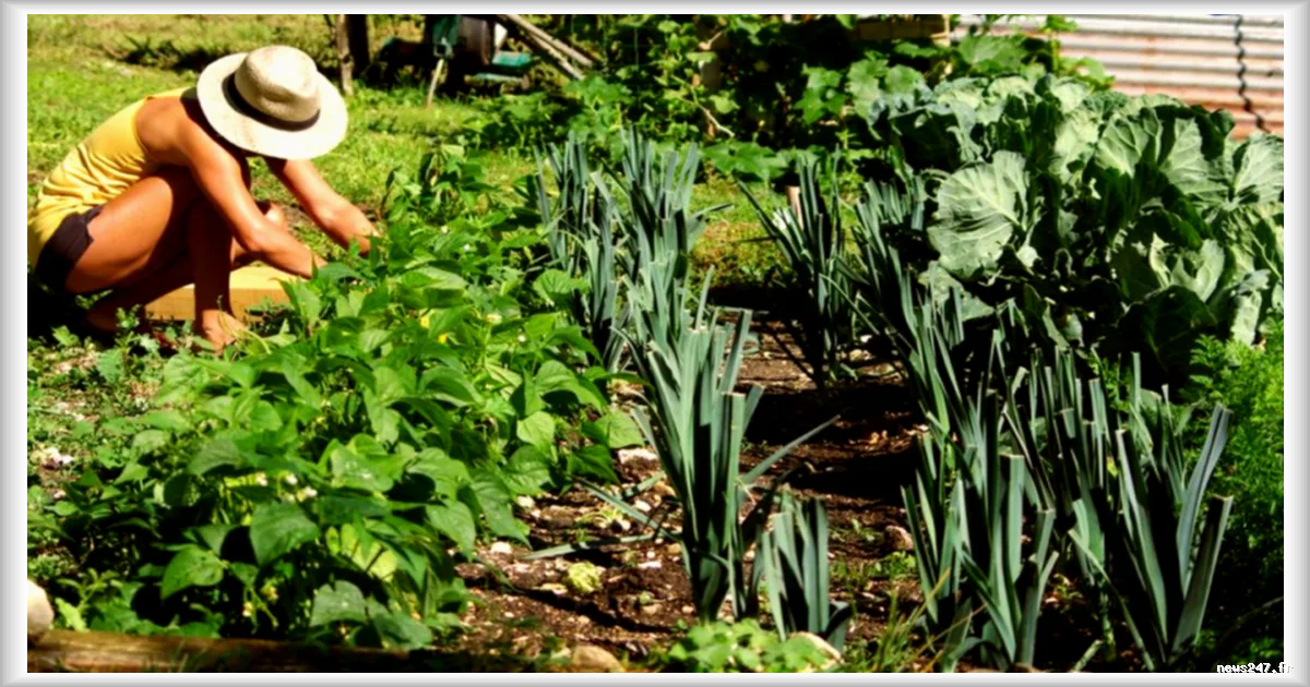 Nantes enterre des slips pour mesurer l’activité des sols : une opération ludique au service de la biodiversité
