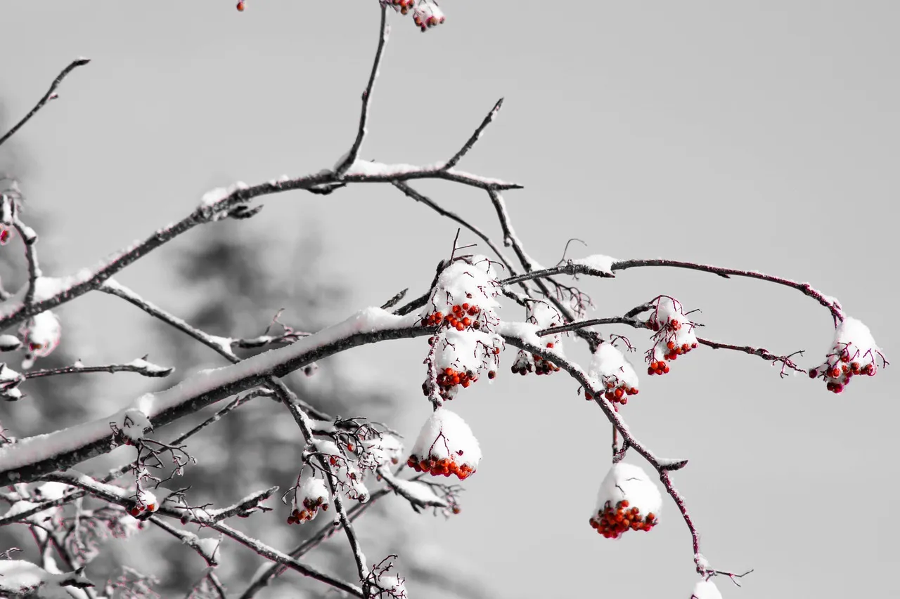 Neige et verglas : 15 départements, dont l'Île-de-France et les Hauts-de-France, en vigilance orange dimanche