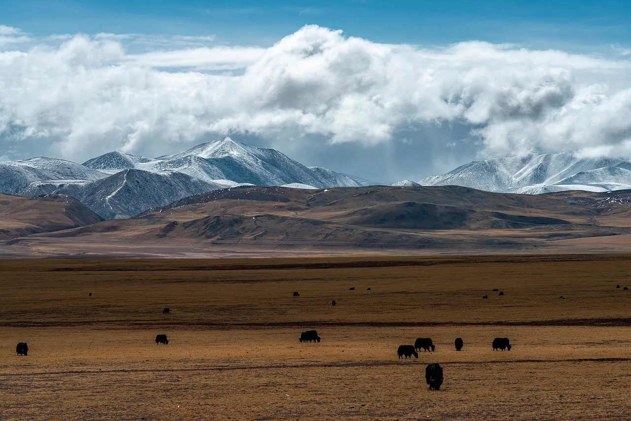 Népal et Tibet frappés par une crue dévastatrice : au moins 98 morts et des centaines de disparus