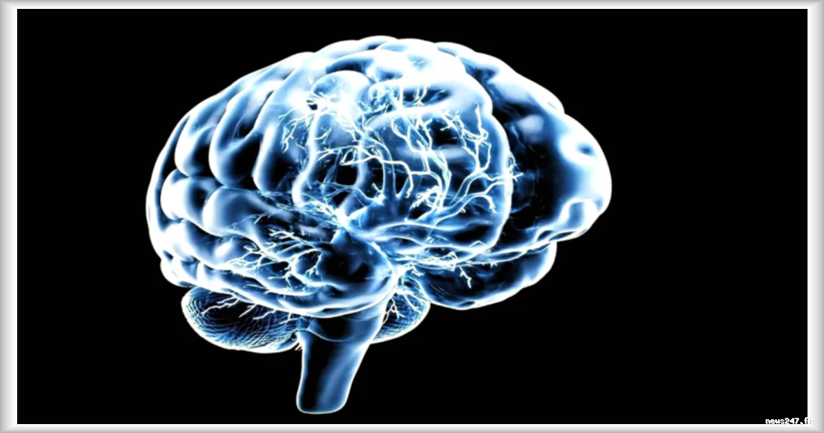 Neuralink réussit l’implantation d’un dispositif cérébral sans endommager la dure-mère