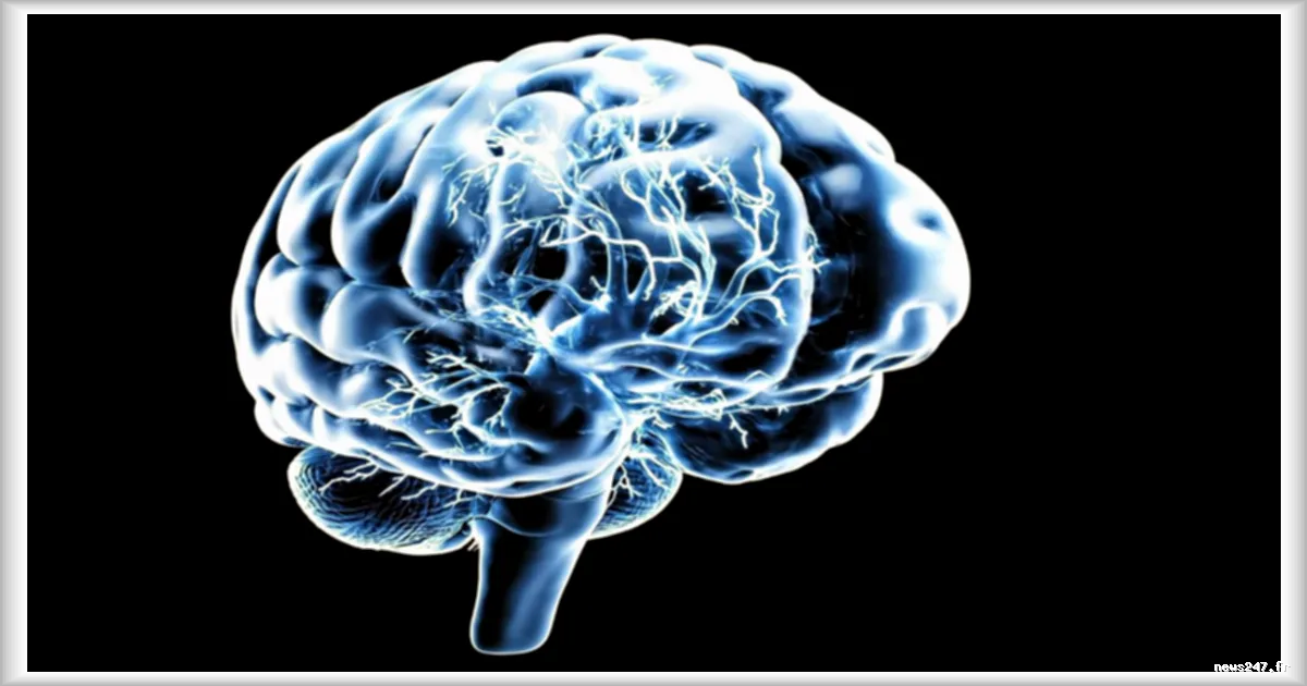 Neuralink réussit l’implantation d’un dispositif cérébral sans endommager la dure-mère
