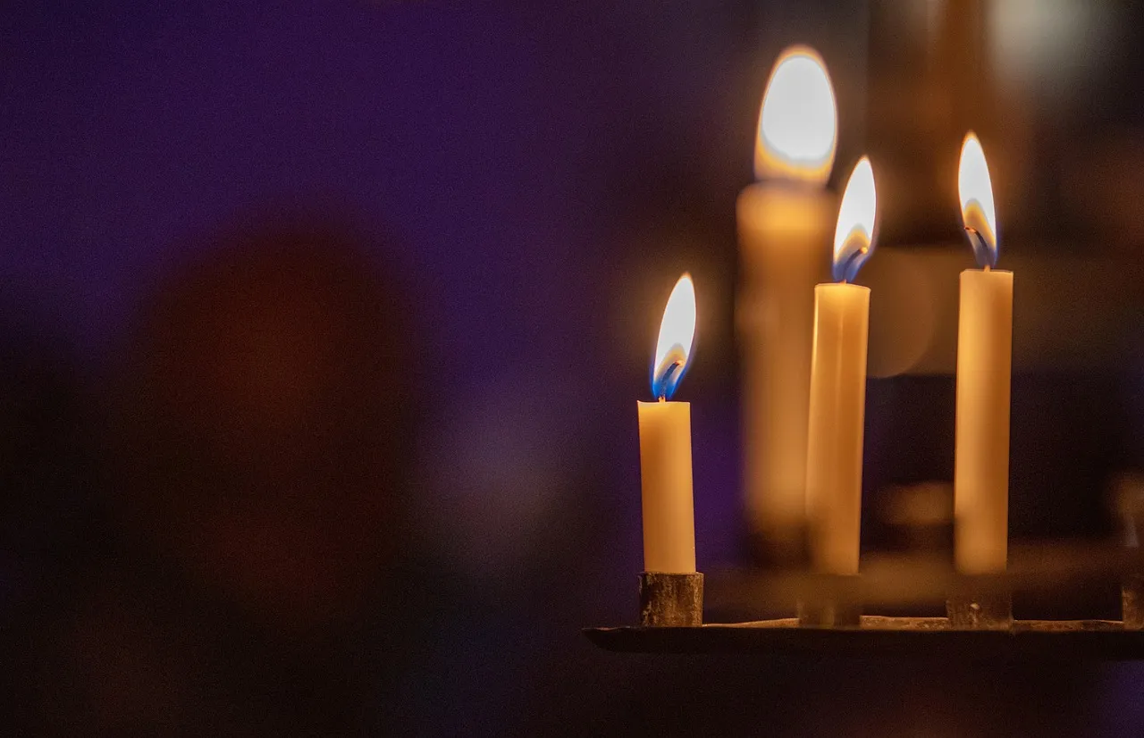 Nevold : accompagner nos aînés vers l'emploi, une mission pleine de sens