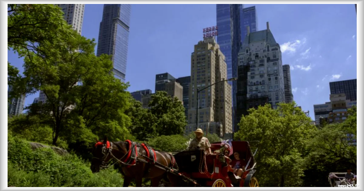 New York : décès d'un jeune touriste dans un accident de calèche à Central Park
