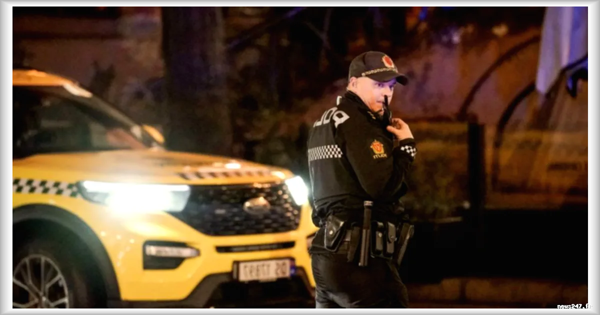 Norvège : Arrestation d'un mineur soupçonné d'un projet d'attentat contre un site de l'Otan