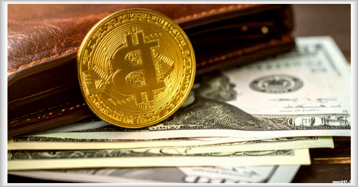 Nouvelle stratégie de GameStop : des rendements sur Bitcoin en discussion