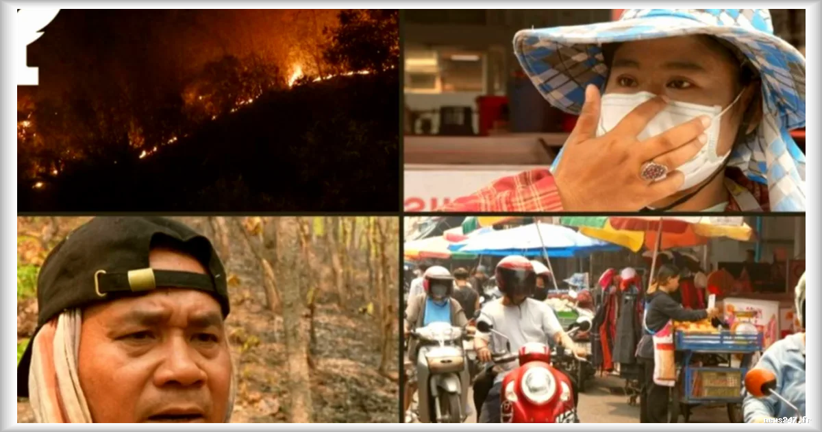 Nuage de pollution au nord de la Thaïlande : des conséquences sanitaires alarmantes selon Le Figaro