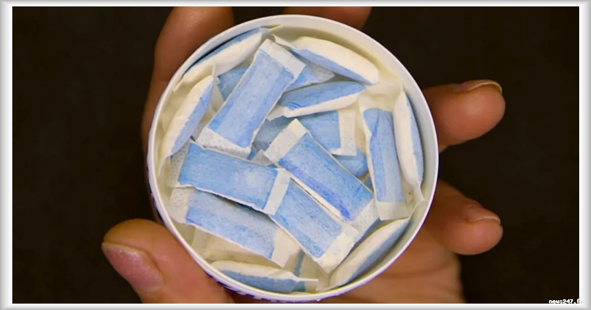 OMS : les sachets de nicotine, nouvelle cible marketing des jeunes, alertent les experts