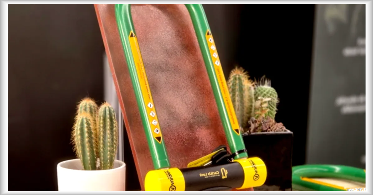 Où en est CactUs Lock, l'antivol vélo qui pue le cadavre ?