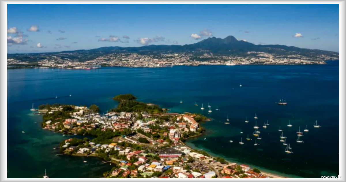 Outre-Mer : les spécialistes des câbles Nexans et Sonepar sanctionnés pour une infraction à la concurrence