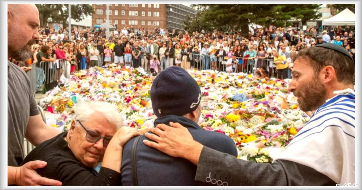 Ouverture des audiences publiques de la commission d'enquête sur l'attentat de Bondi